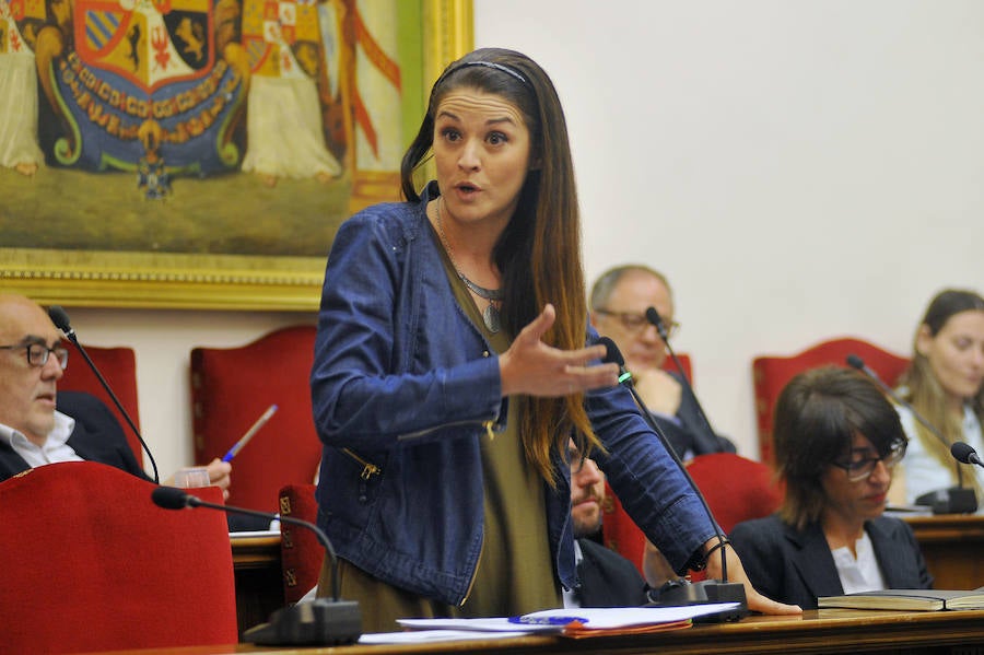 Pleno en el Ayuntamiento de Elche