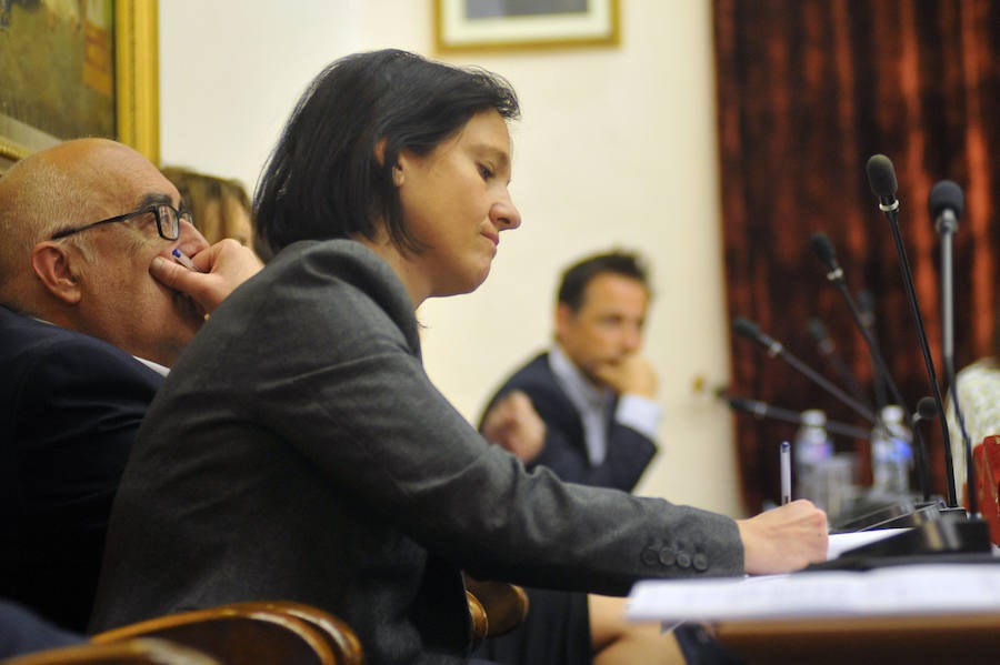 Pleno en el Ayuntamiento de Elche