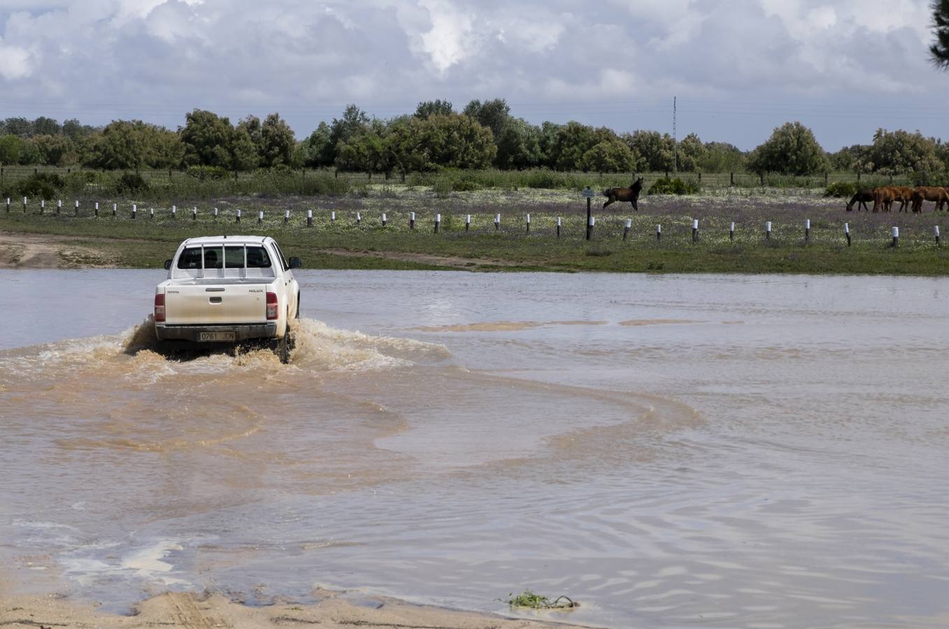 La lluvia desluce el Rocío