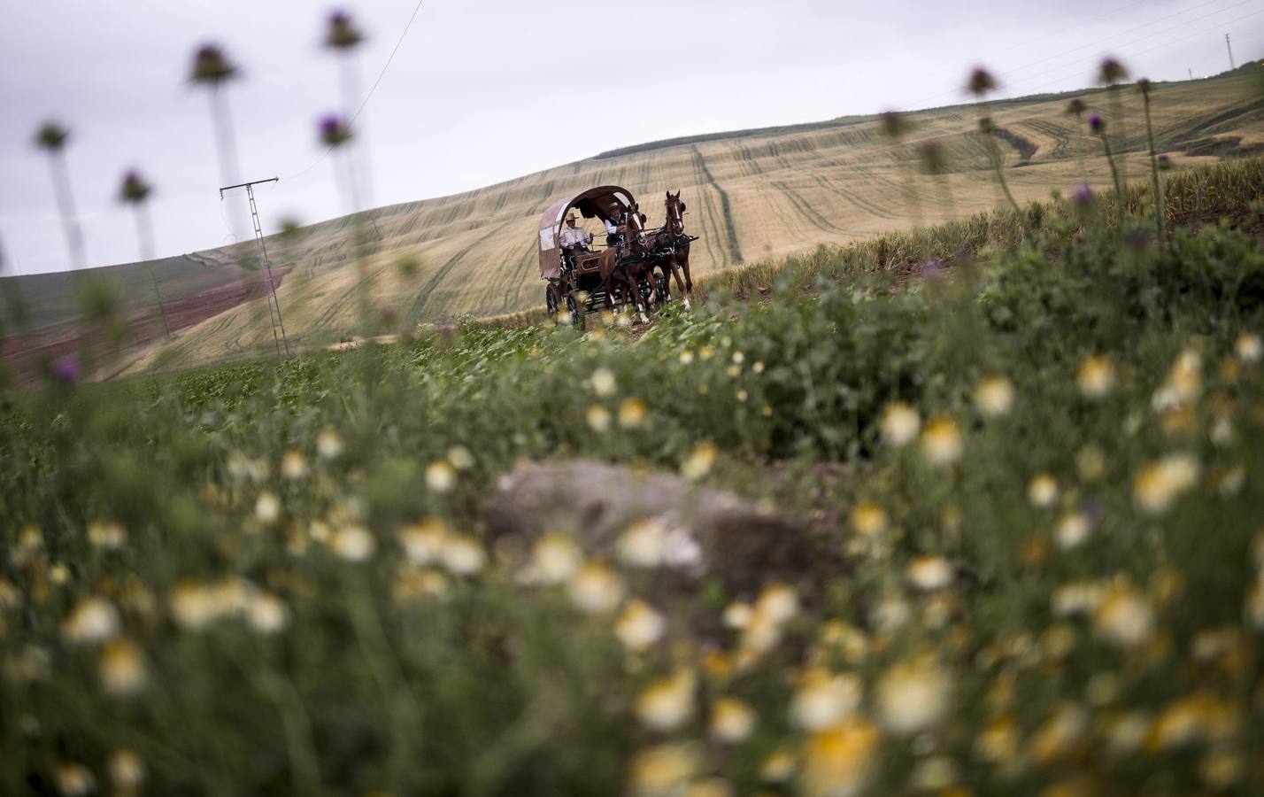 La lluvia desluce el Rocío