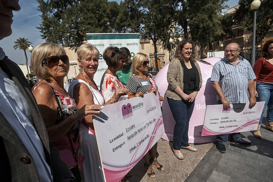 Campaña contra el cáncer en Orihuela