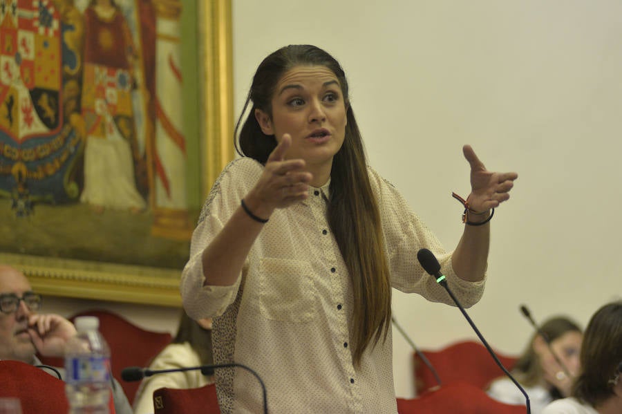 Pleno en el Ayuntamiento de Elche