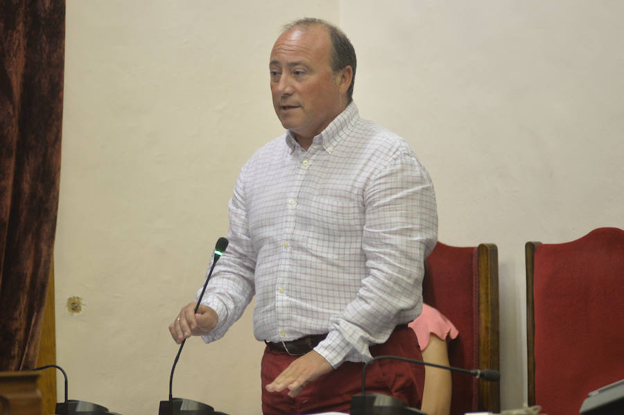 Pleno en el Ayuntamiento de Elche