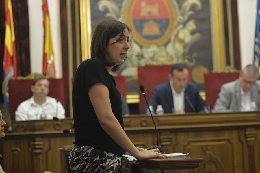 Pleno en el Ayuntamiento de Elche