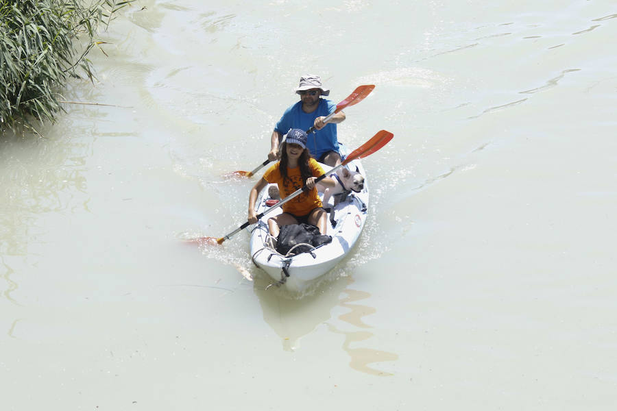 Diversión por tierra, agua y aire en el Día de la Región