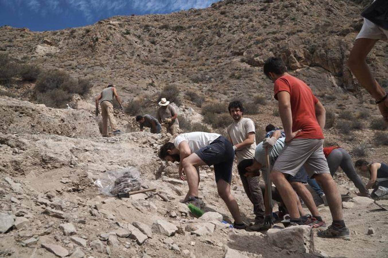 El MARQ insta al Ayuntamiento de Callosa a afianzar el yacimiento de la ladera del castillo