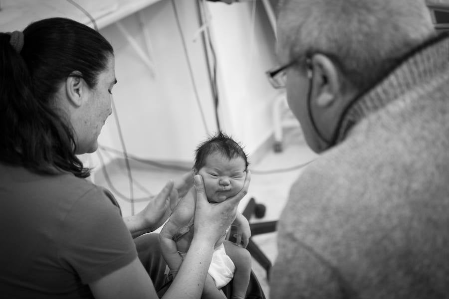 Bebés en la lucha de vivir