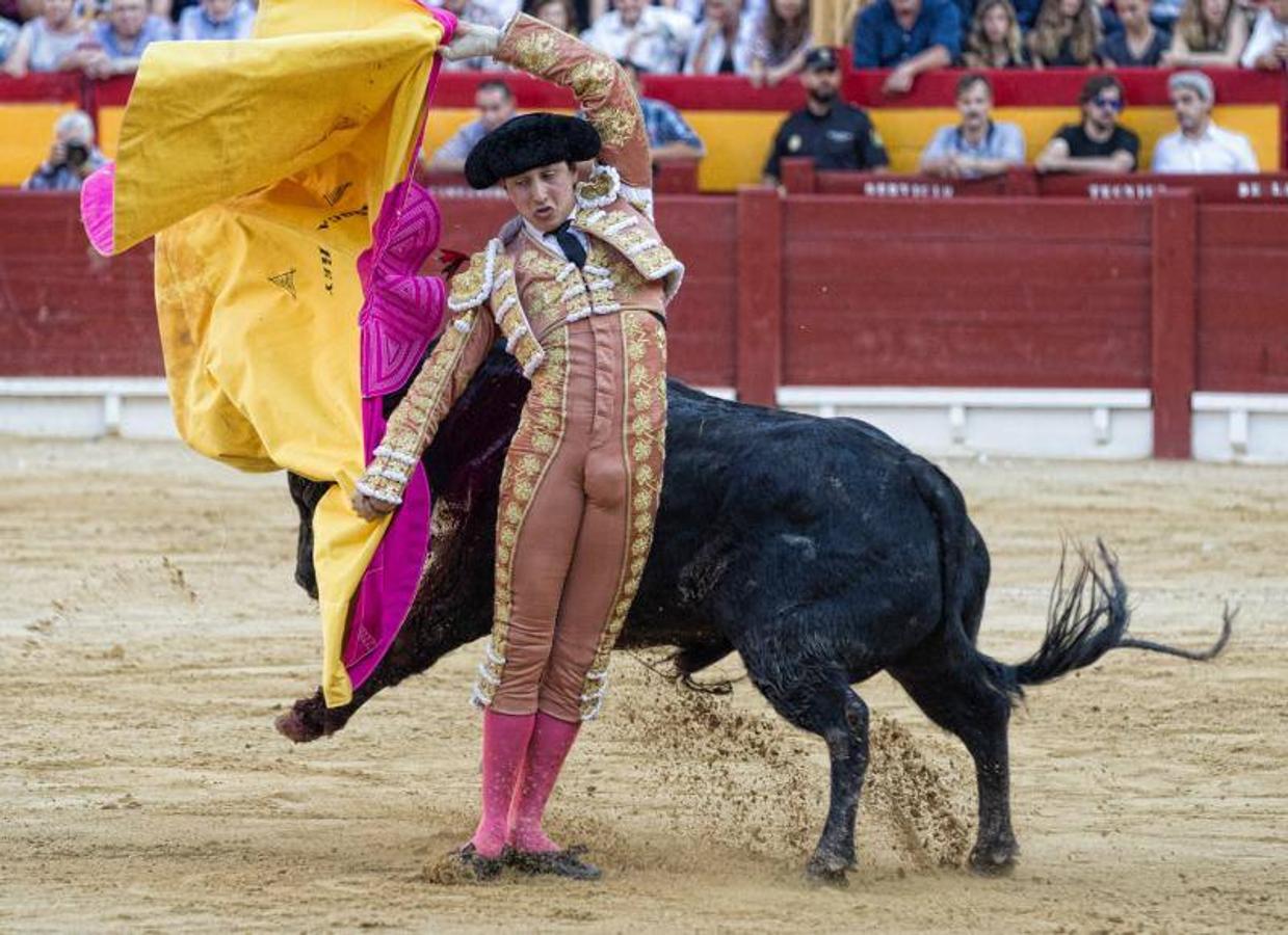 Feria taurina de Hogueras