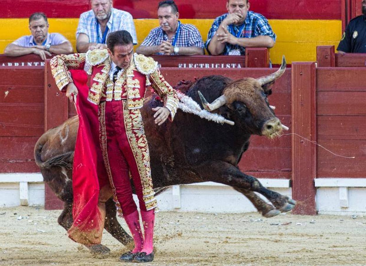 Feria taurina de Hogueras