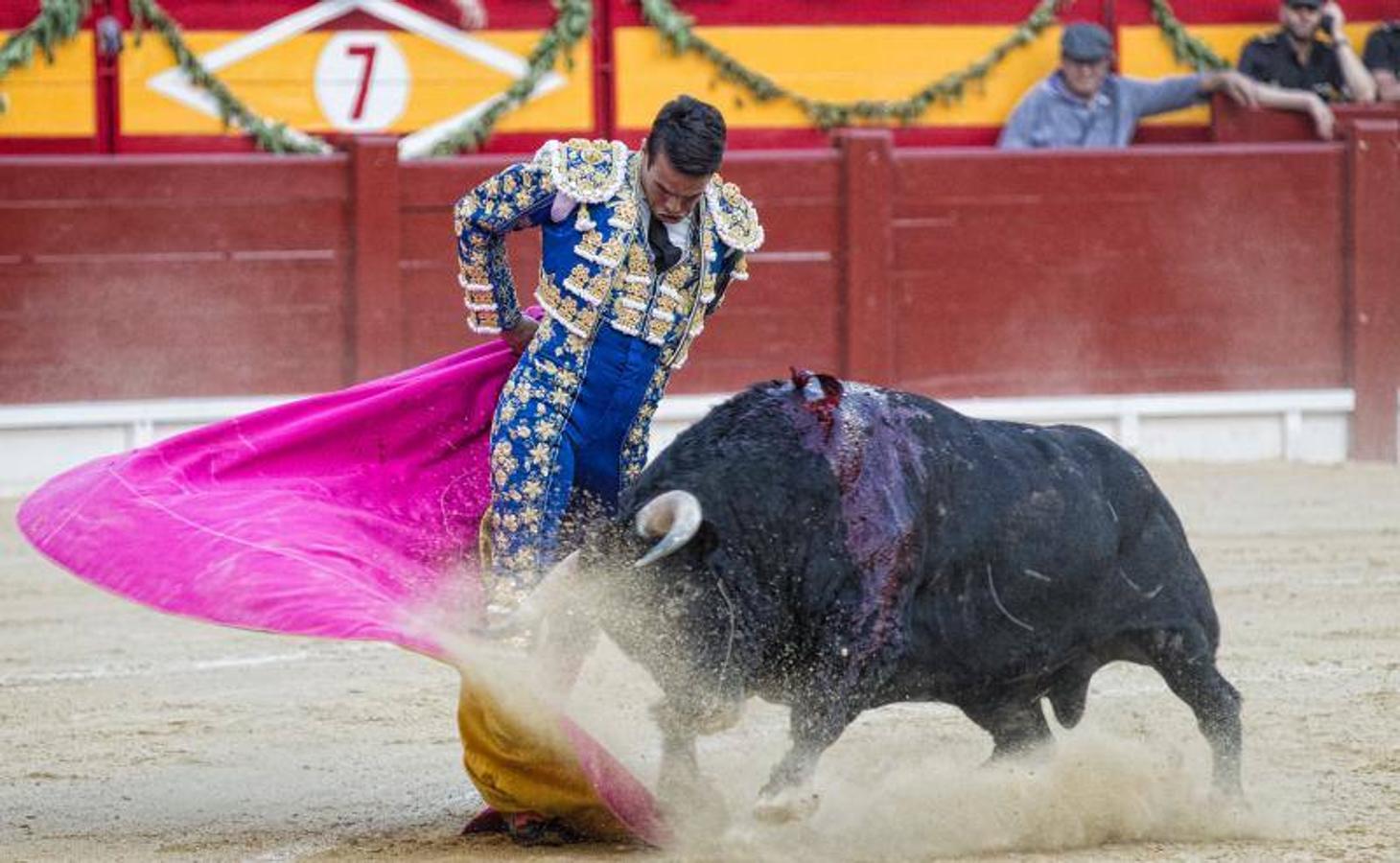 José Tomás deslumbra a Alicante