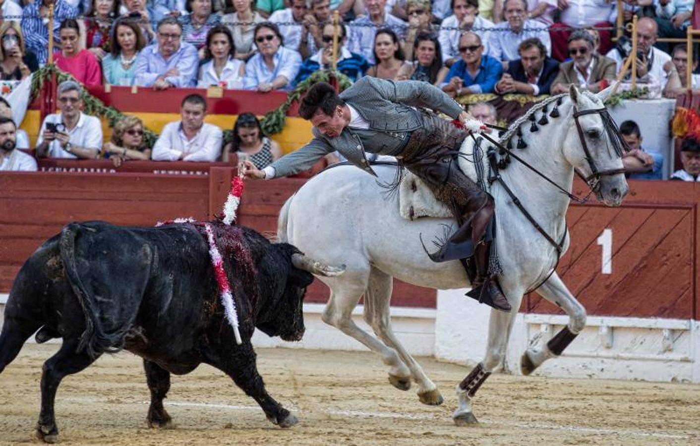 José Tomás deslumbra a Alicante