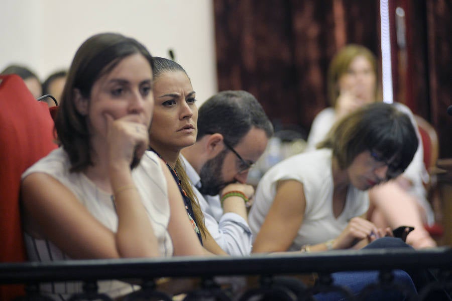 Pleno en el Ayuntamiento de Elche