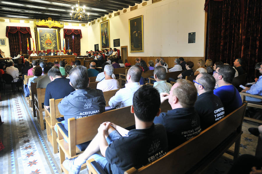 Pleno en el Ayuntamiento de Elche