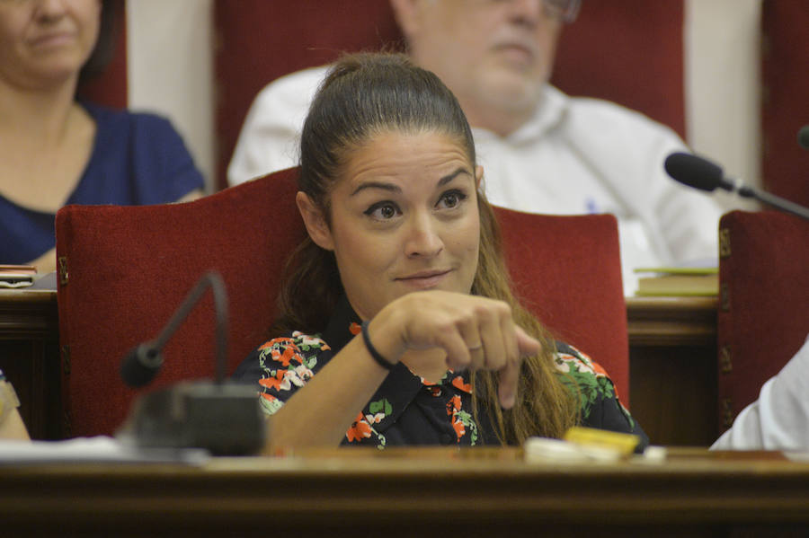 Pleno en el Ayuntamiento de Elche