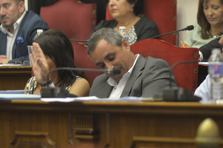 Pleno en el Ayuntamiento de Elche