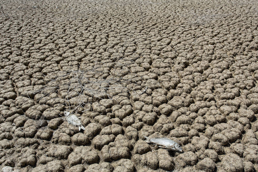 Sequía en el pantano del Amadorio, en Villajoyosa