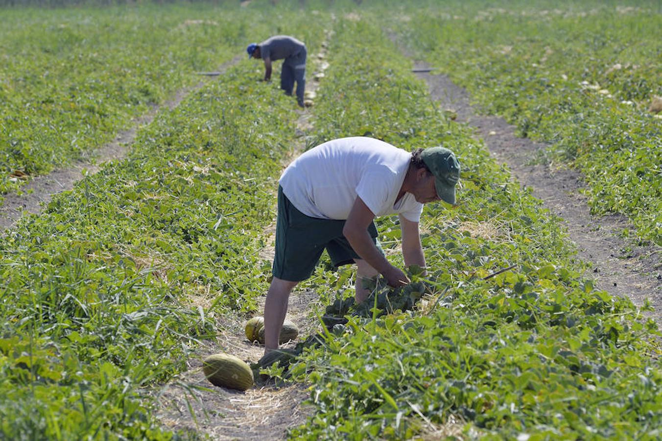 Respaldo unánime al proyecto del Parque Agrario de Carrizales