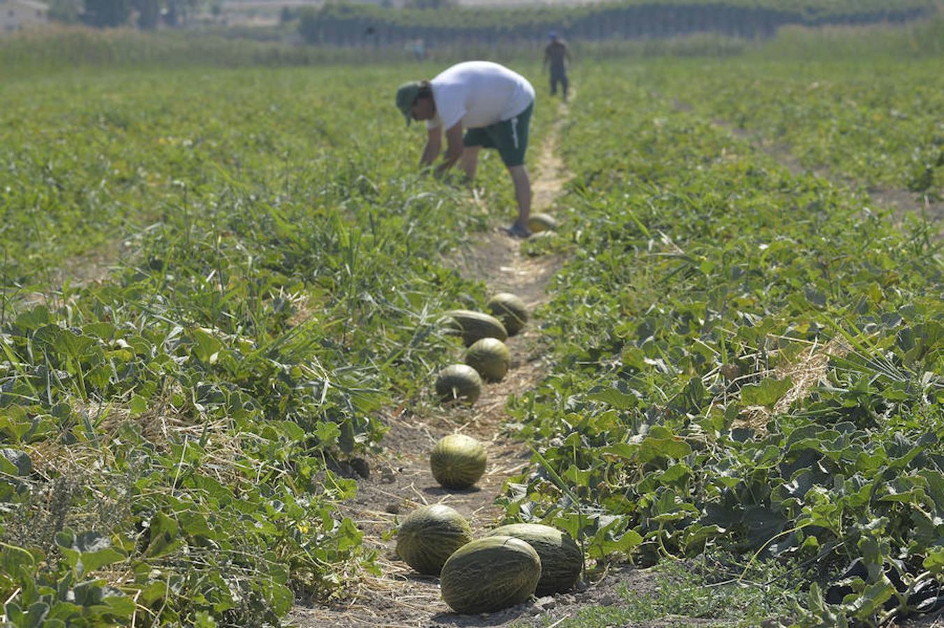 Respaldo unánime al proyecto del Parque Agrario de Carrizales