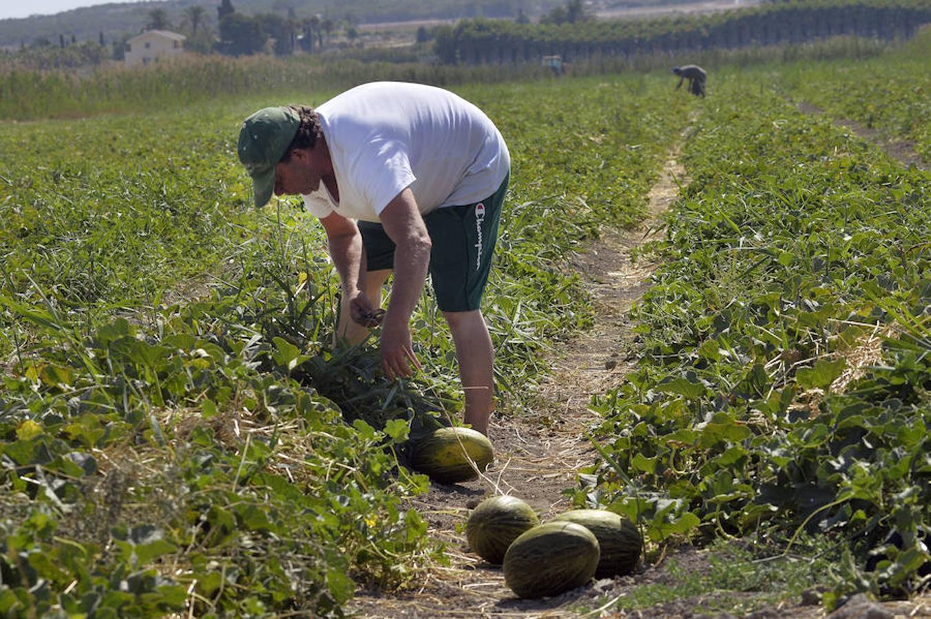 Respaldo unánime al proyecto del Parque Agrario de Carrizales