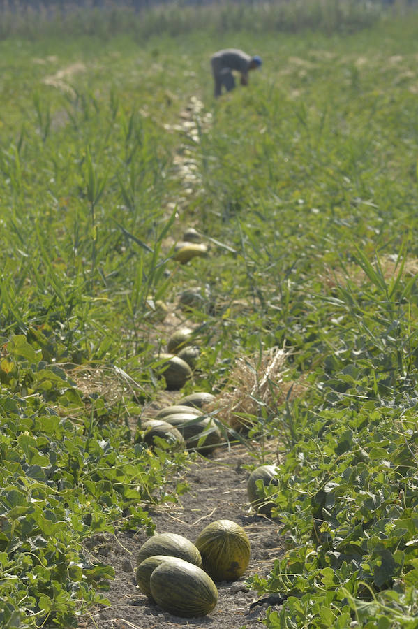 Respaldo unánime al proyecto del Parque Agrario de Carrizales