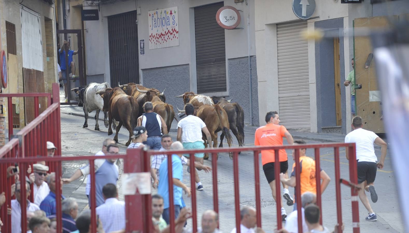 Segundo encierro de las fiestas de Moratalla