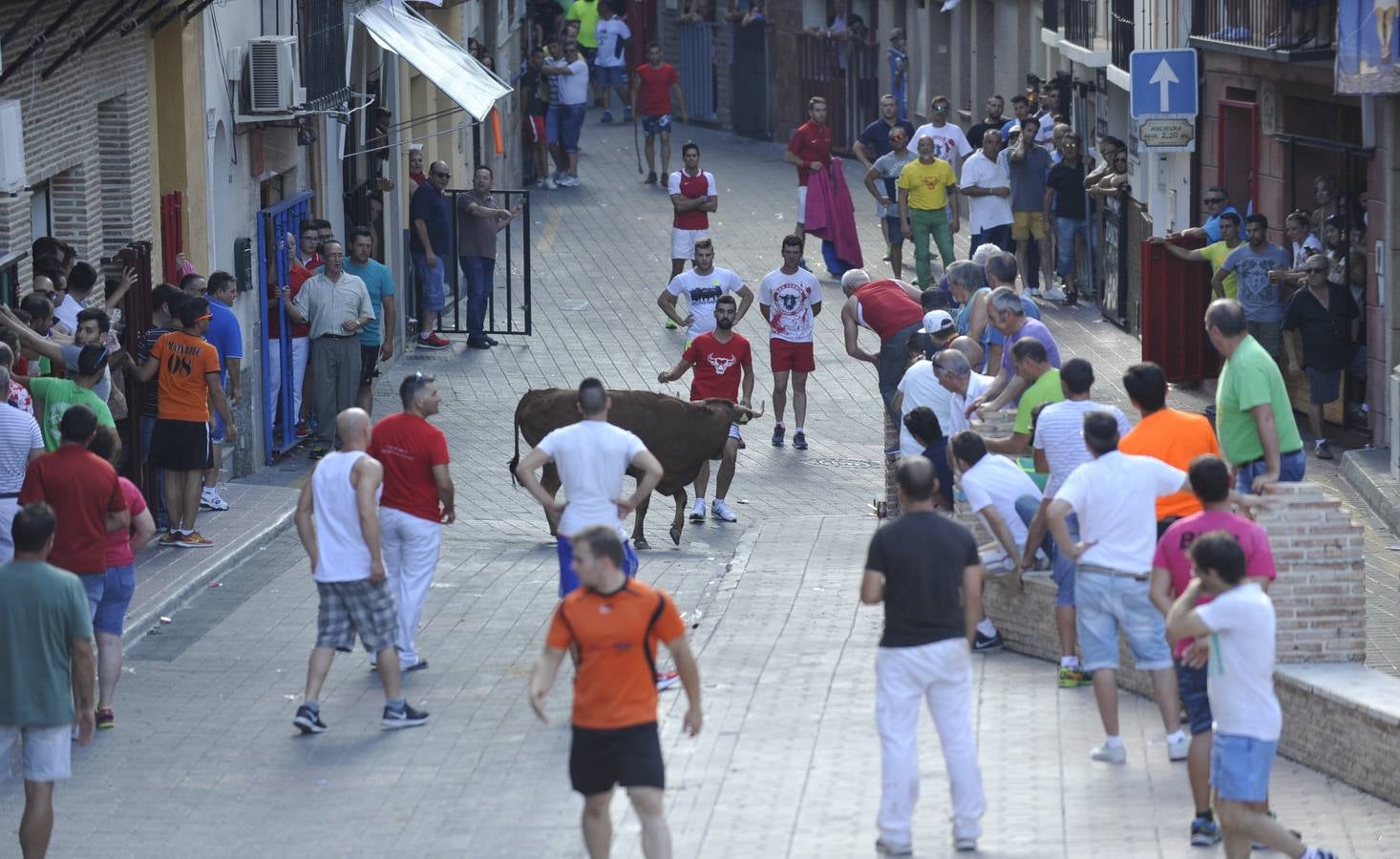 Segundo encierro de las fiestas de Moratalla