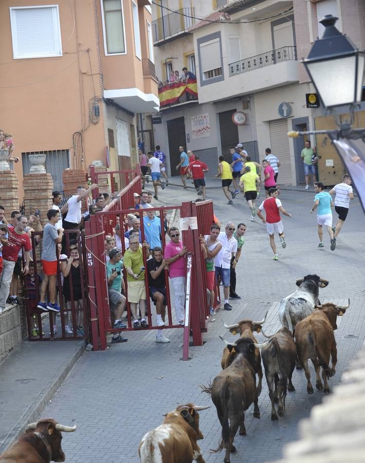 Segundo encierro de las fiestas de Moratalla