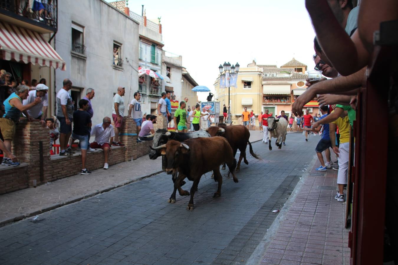 Segundo encierro de las fiestas de Moratalla