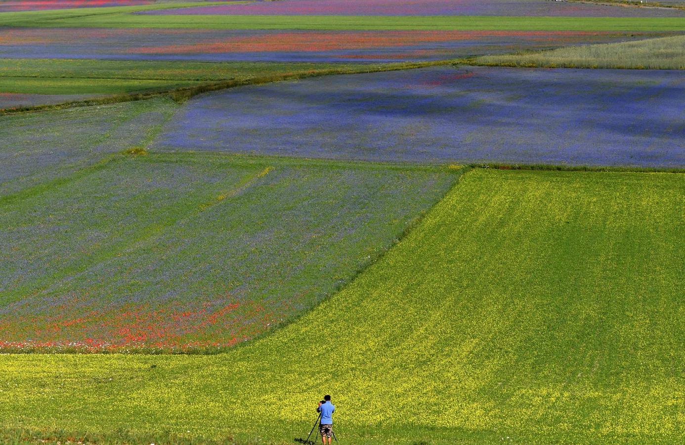 Un mar de color