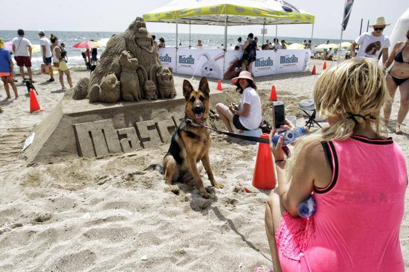 Una playa de cine