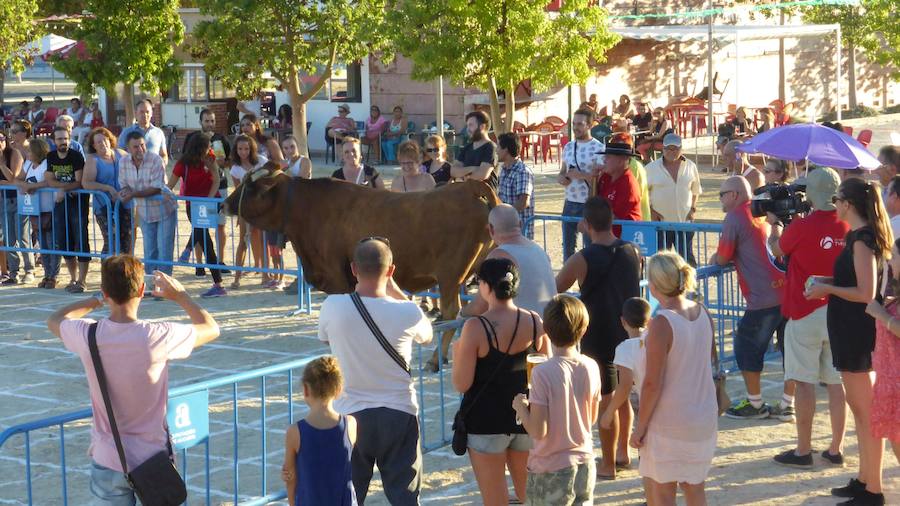 Una caca de vaca que vale 2.000 euros en Dolores