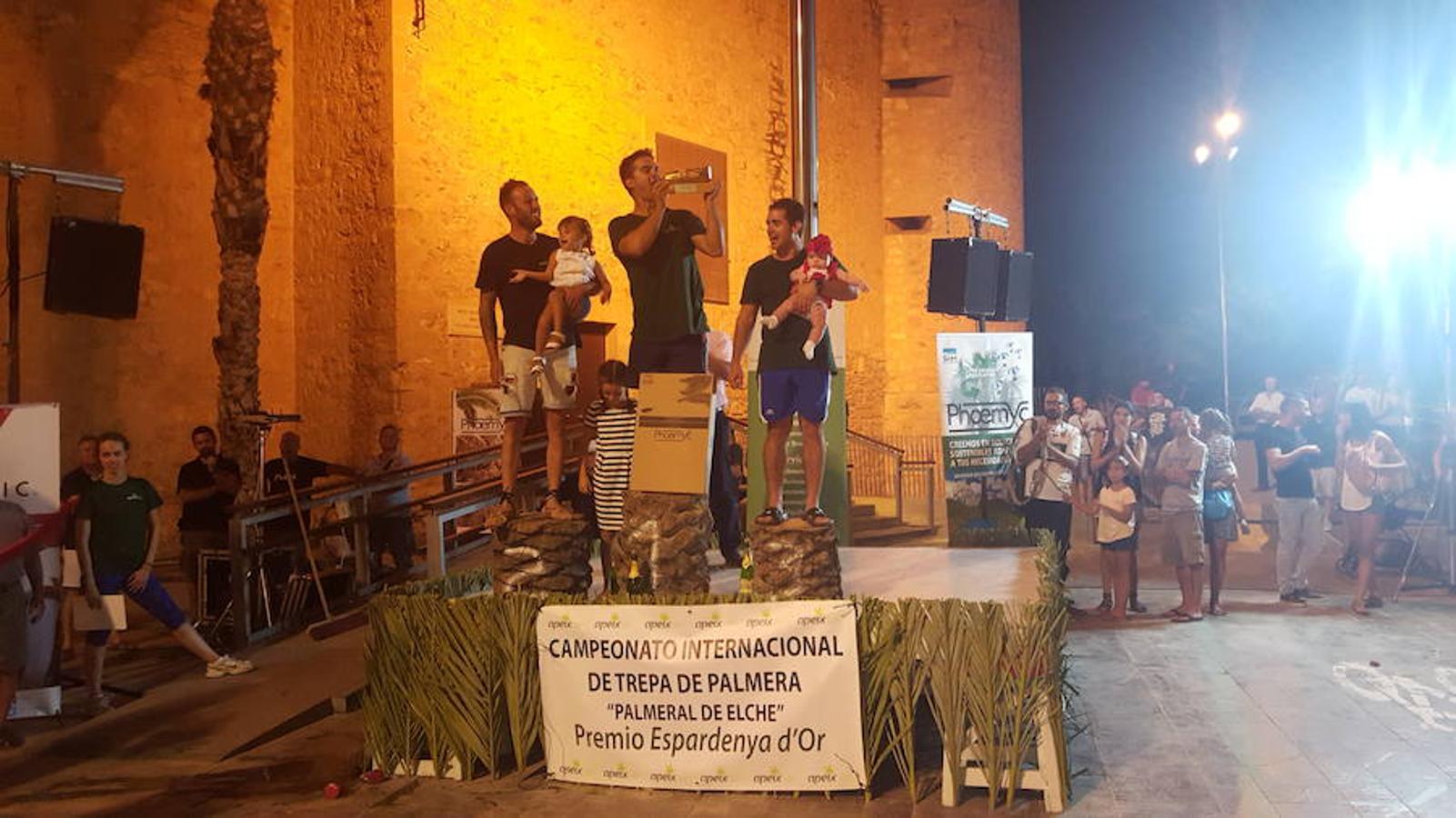 El certamen de trepa de palmera repite ganadores en Elche