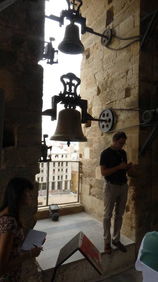 Visitas a la torre de la catedral de Orihuela