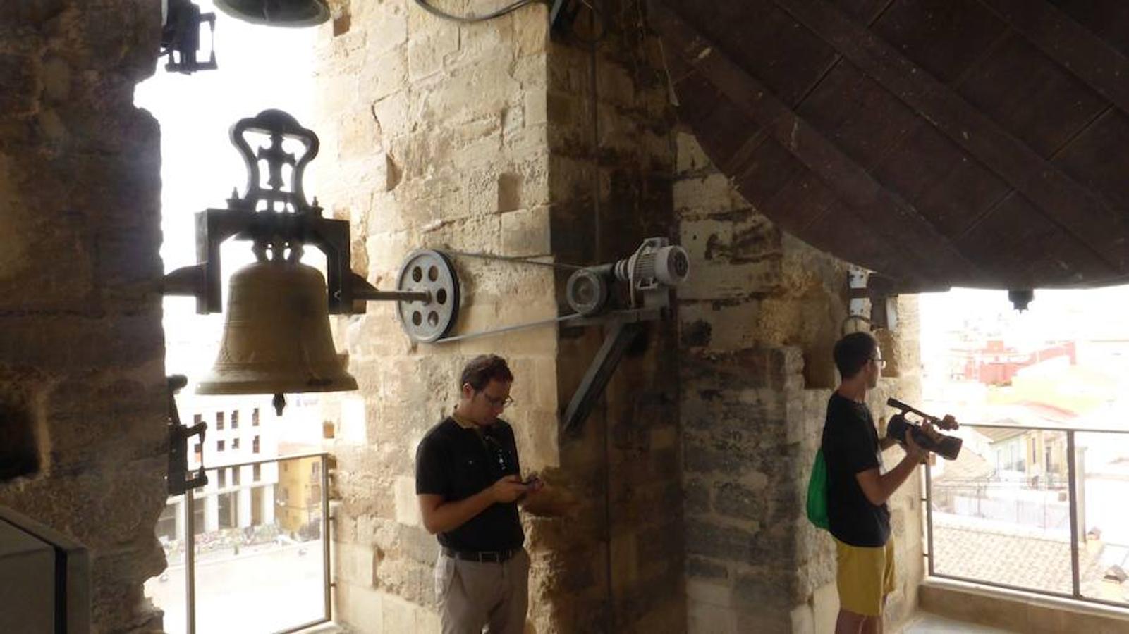 Visitas a la torre de la catedral de Orihuela