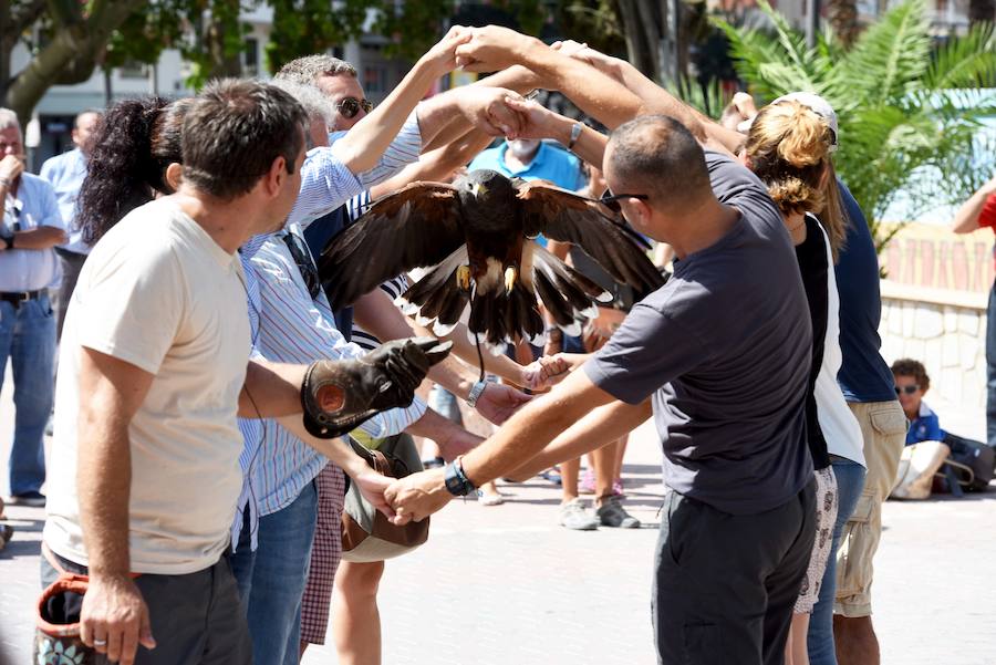 Los animales se apuntan a la Feria