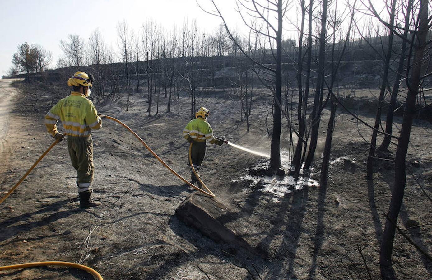 Xàbia y Benitatxell, calcinadas tras el incendio