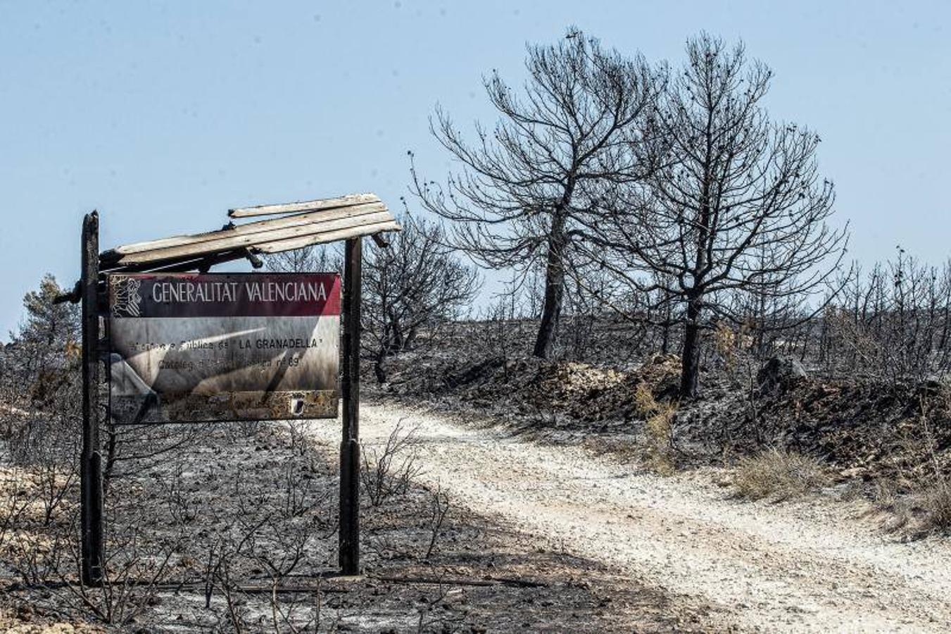 Xàbia y Benitatxell, calcinadas tras el incendio