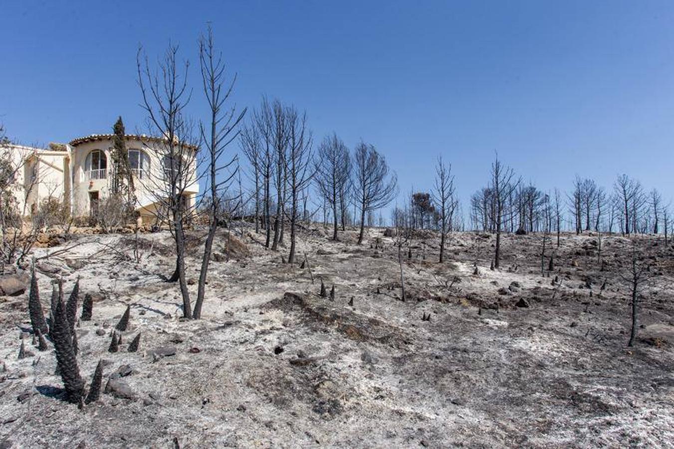 Xàbia y Benitatxell, calcinadas tras el incendio