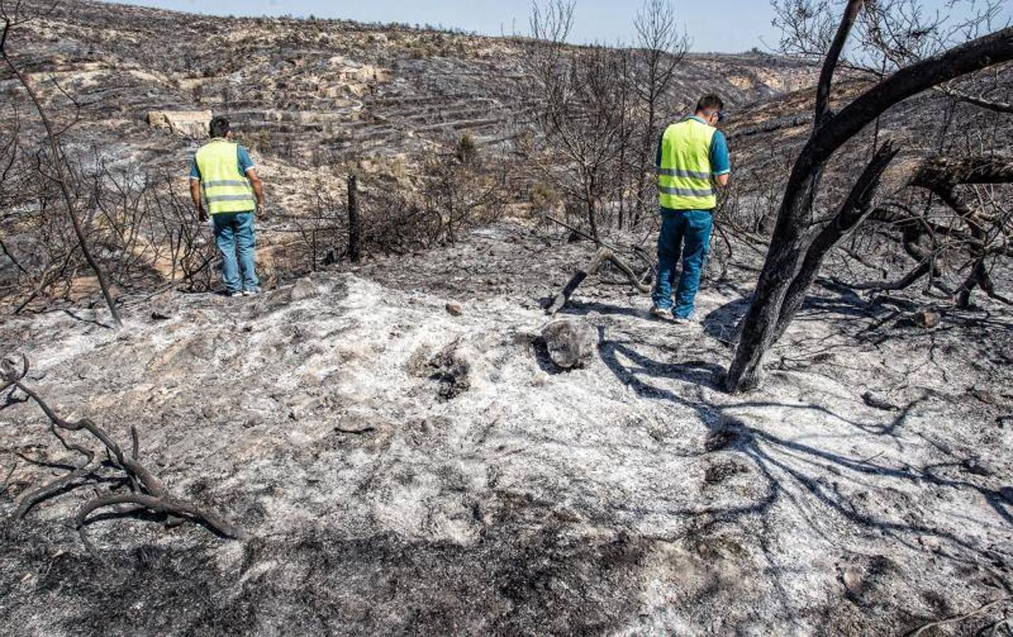 Xàbia y Benitatxell, calcinadas tras el incendio