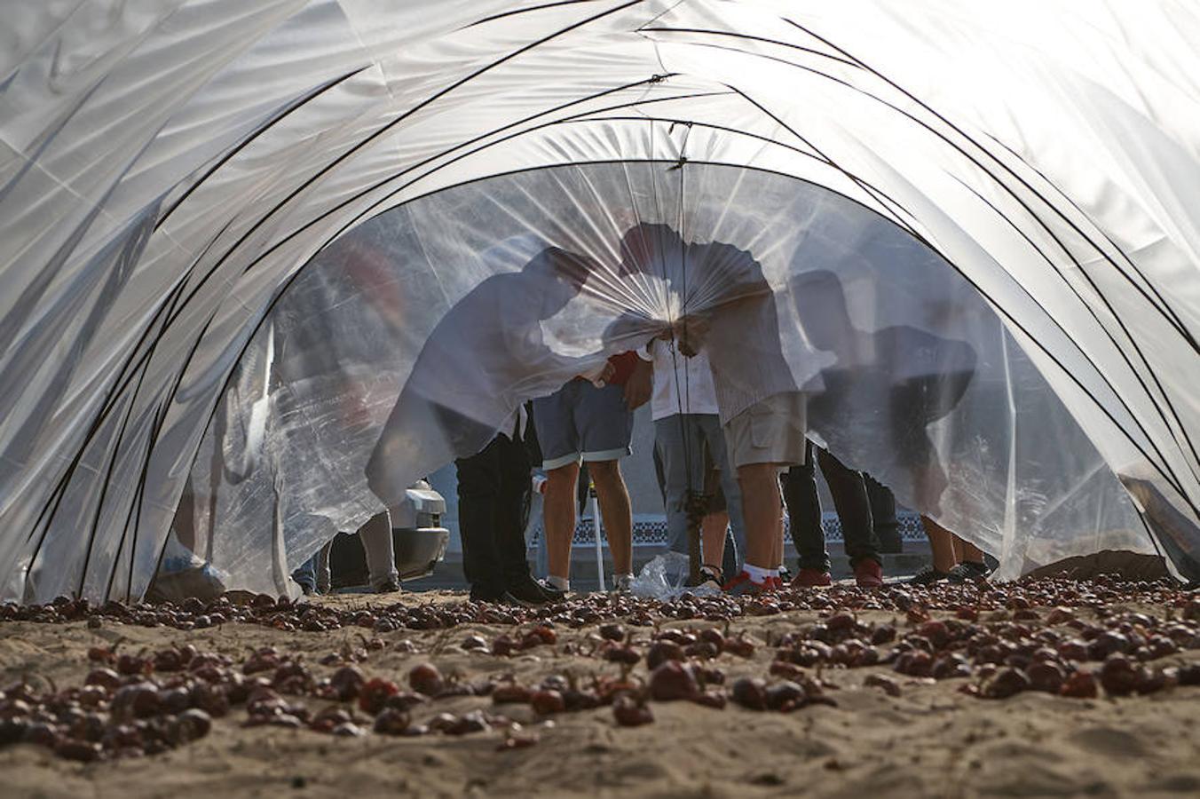 Cocineros de la provincia impulsan la denominación de origen de la ñora