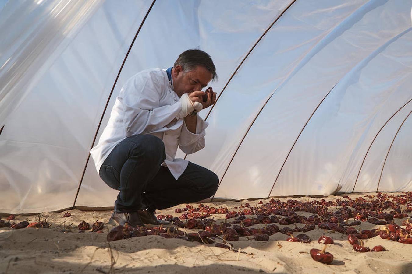 Cocineros de la provincia impulsan la denominación de origen de la ñora