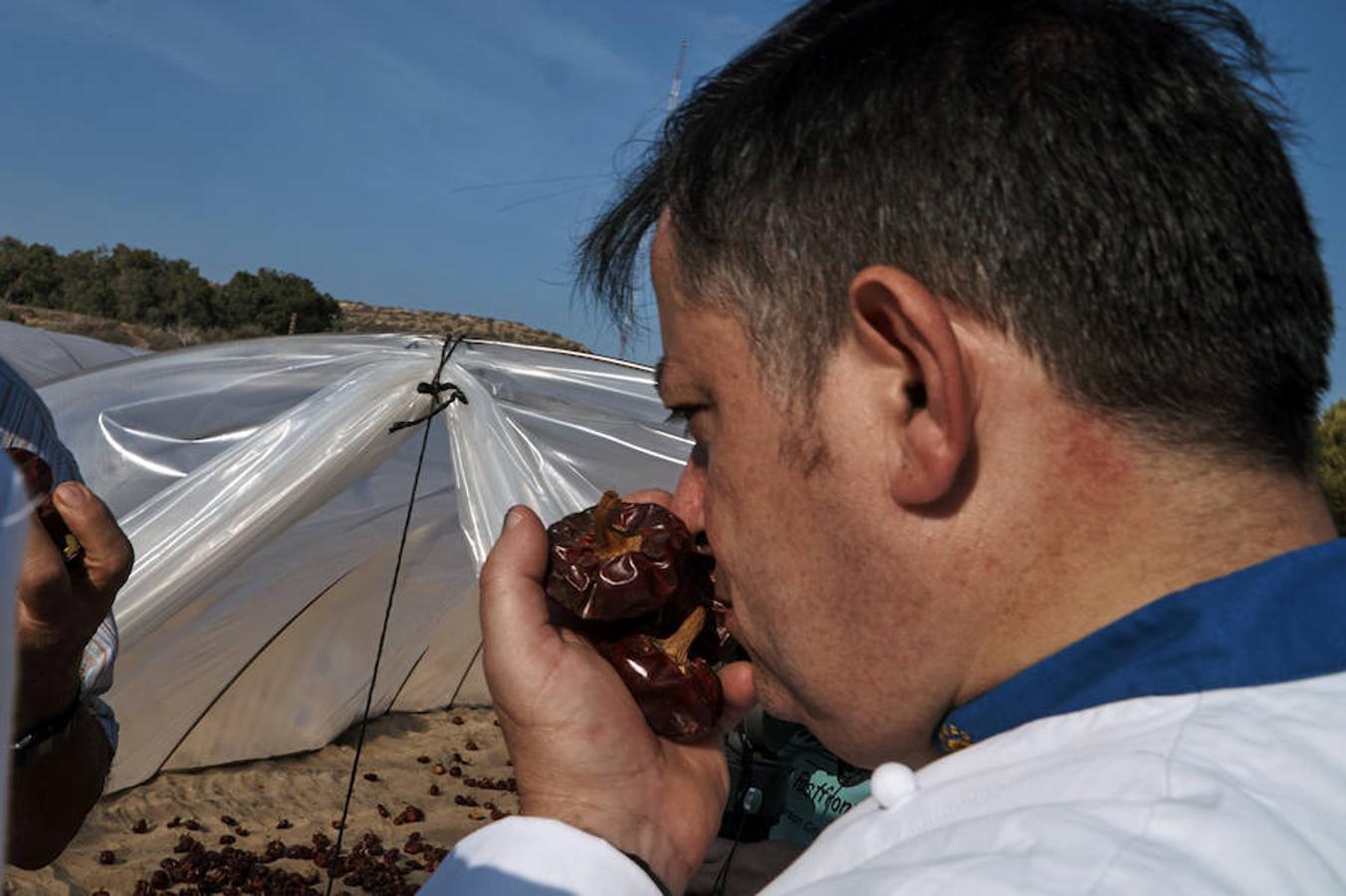 Cocineros de la provincia impulsan la denominación de origen de la ñora