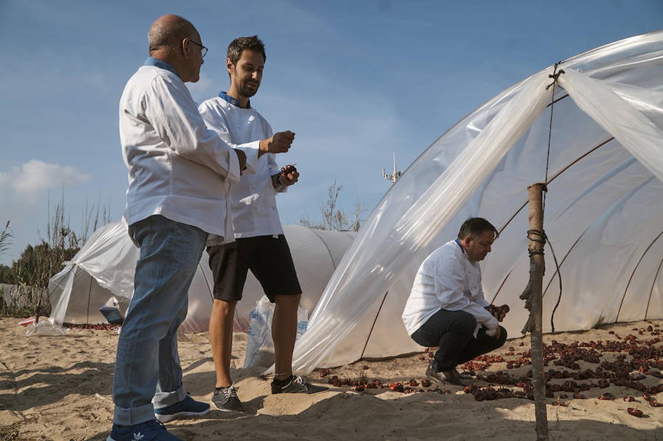 Cocineros de la provincia impulsan la denominación de origen de la ñora