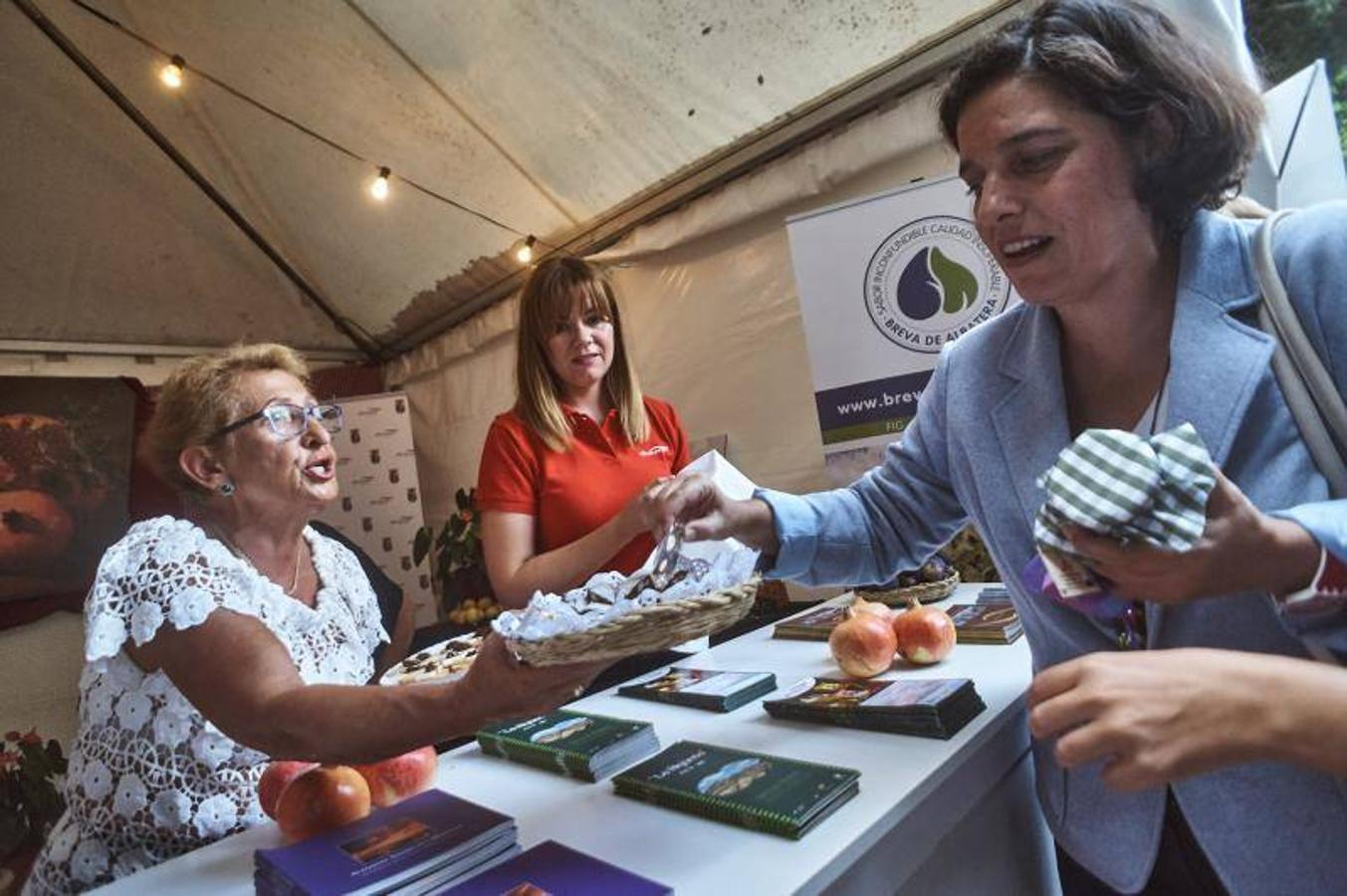 Oferta turística on visión global en Almoradí