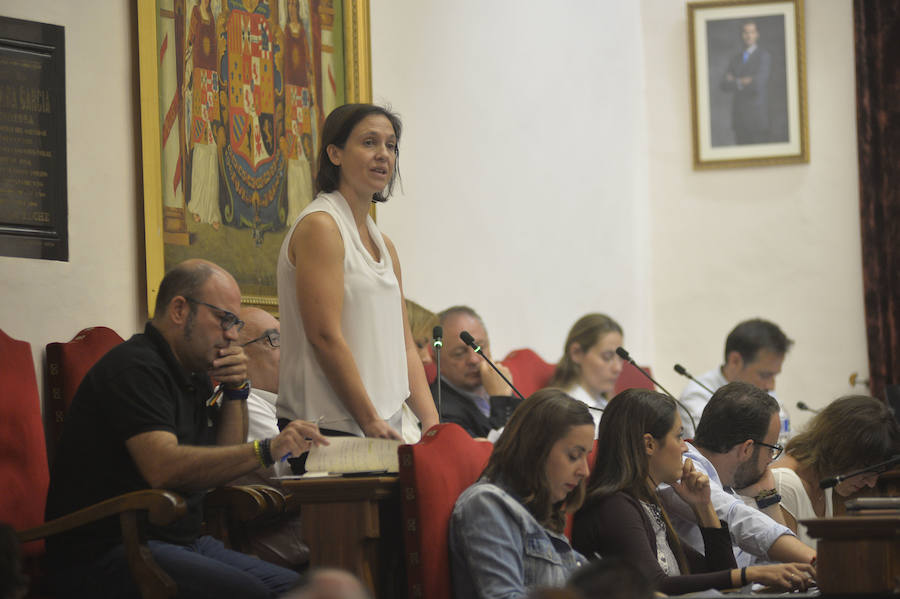 Sesión plenaria en Elche