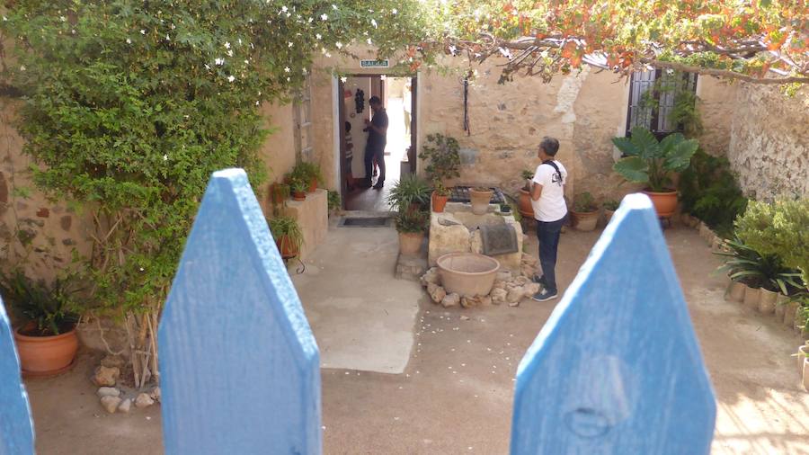 Maratón fotográfico Miguel Hernández