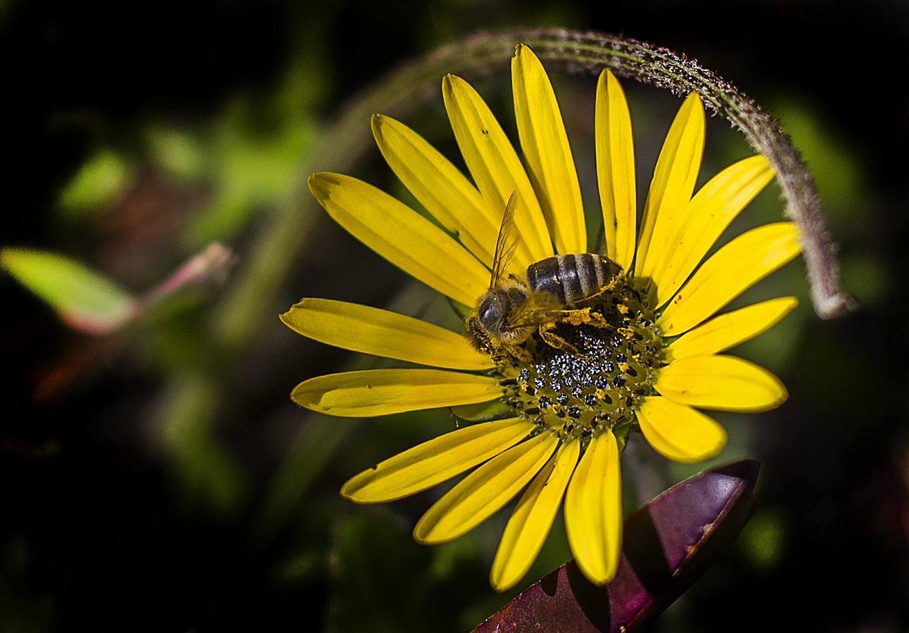 Vida tras el incendio