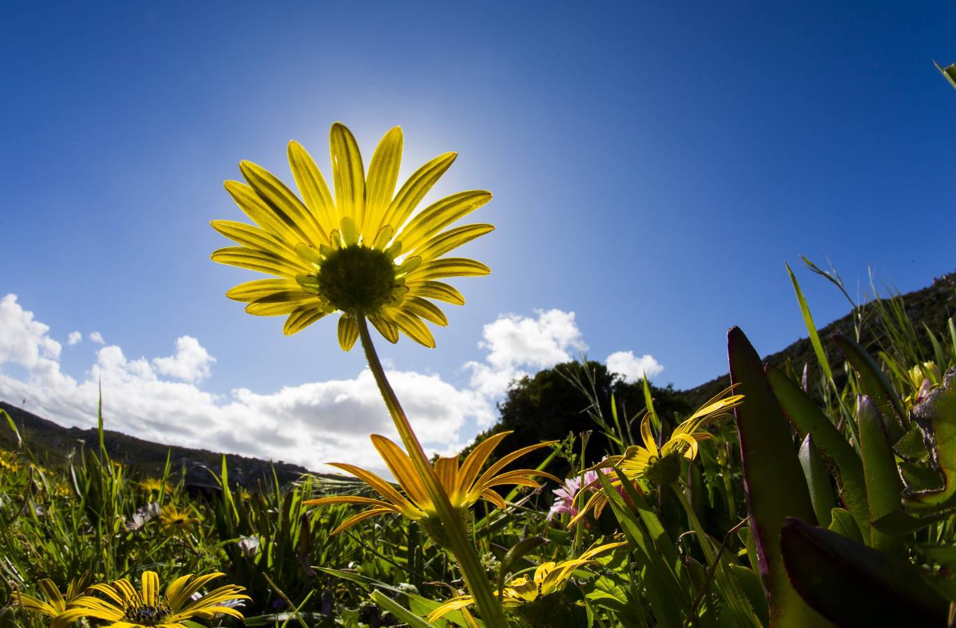Vida tras el incendio