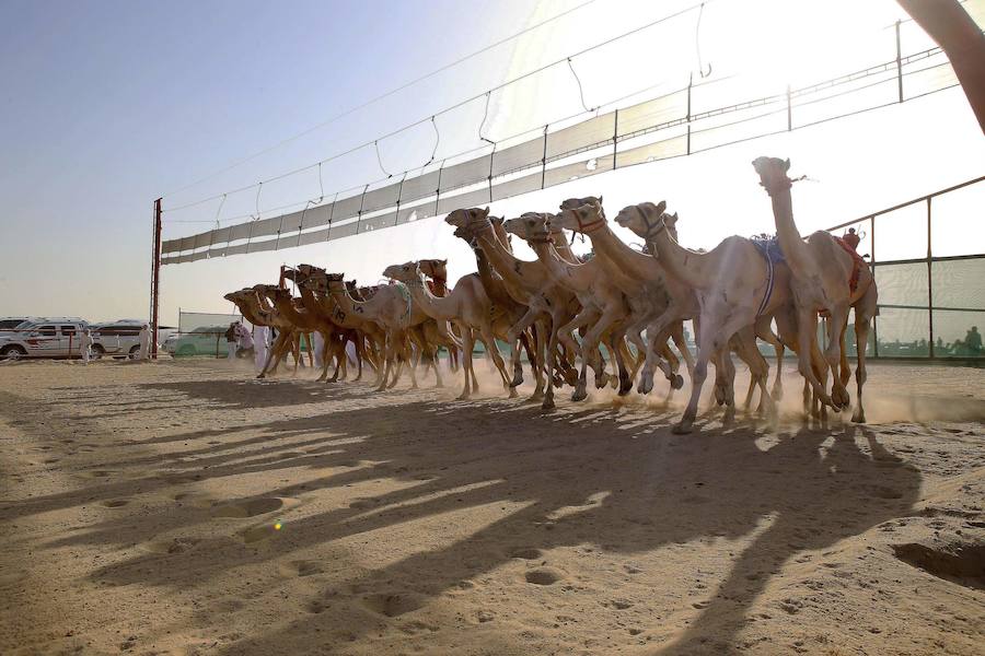Carreras de camellos sin jinetes menores
