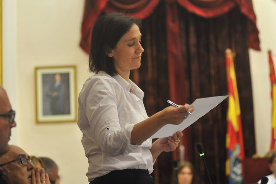 Pleno en el Ayuntamiento de Elche